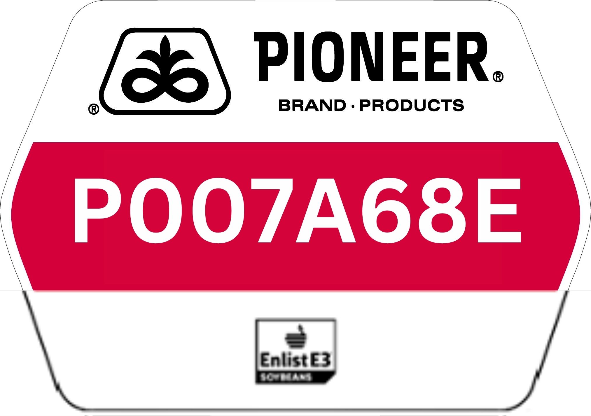 Seed - Pioneer - Soybeans - P007A68E