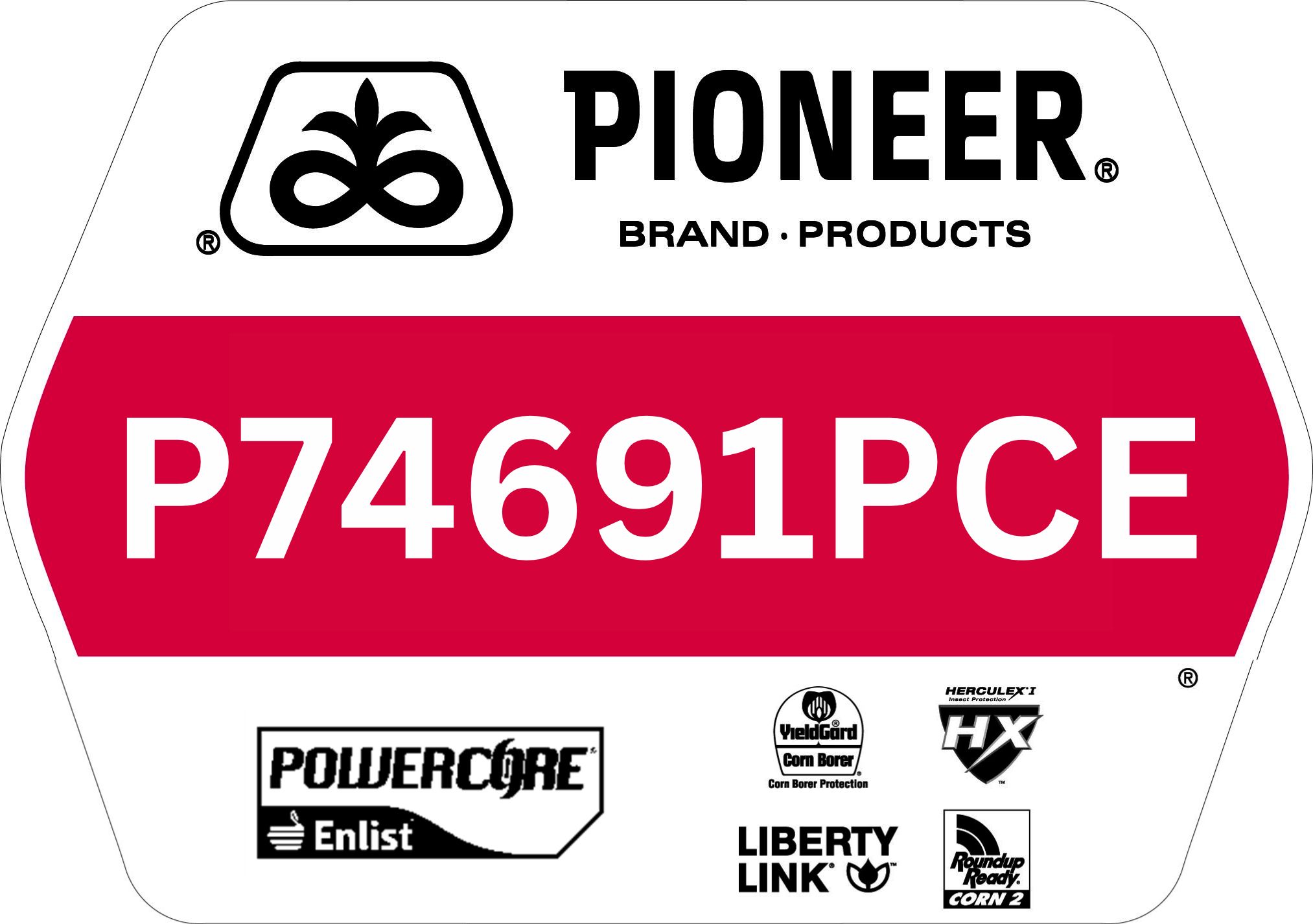 Seed - Pioneer - Corn - P74691PCE