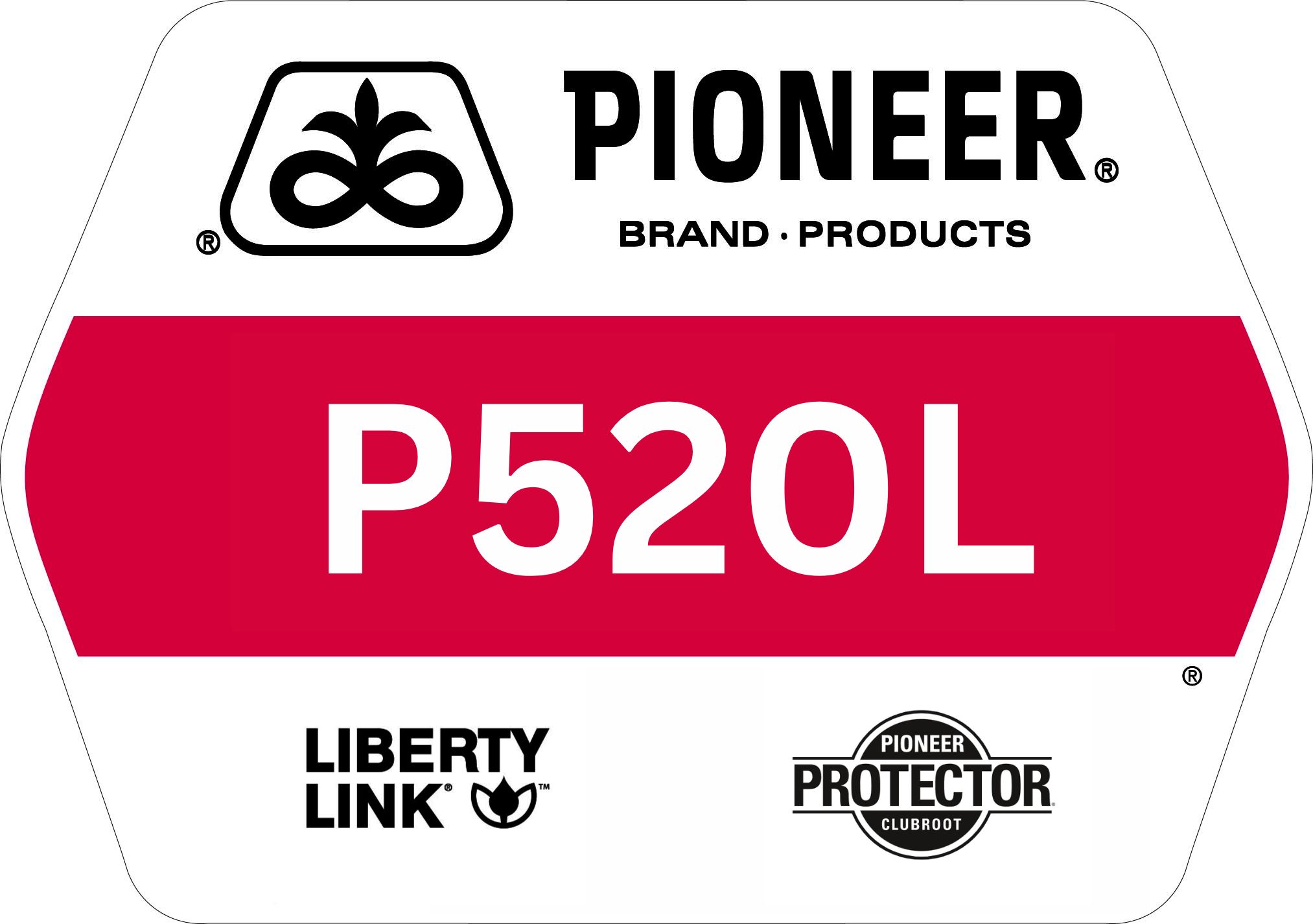 Seed - Pioneer  - Canola - P520L