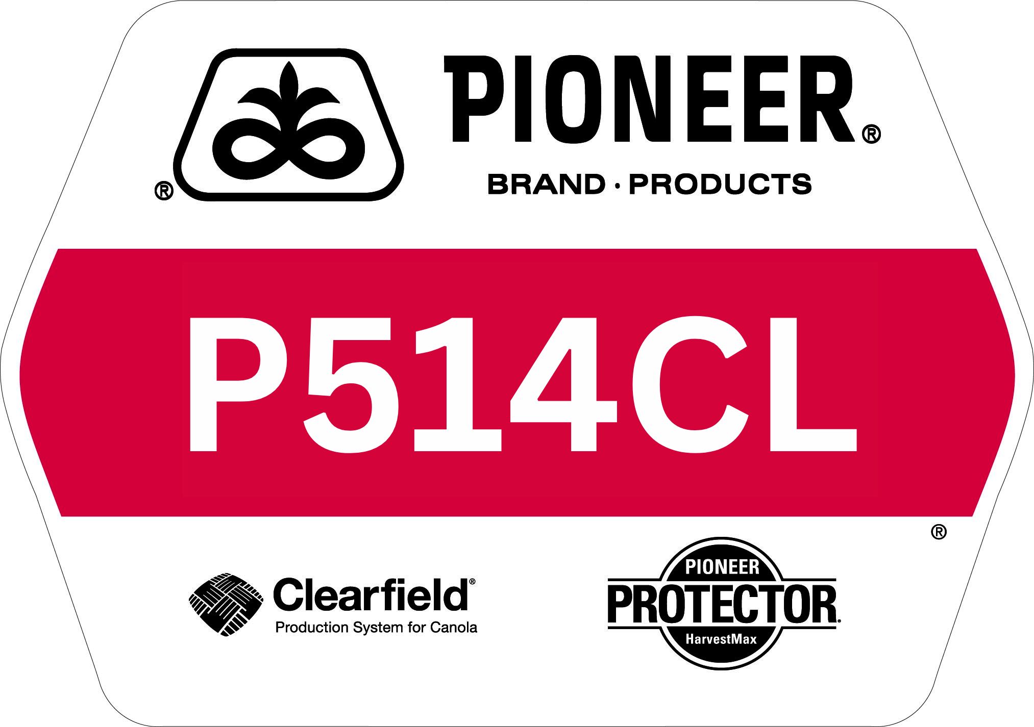 Seed - Pioneer - Canola - P514CL