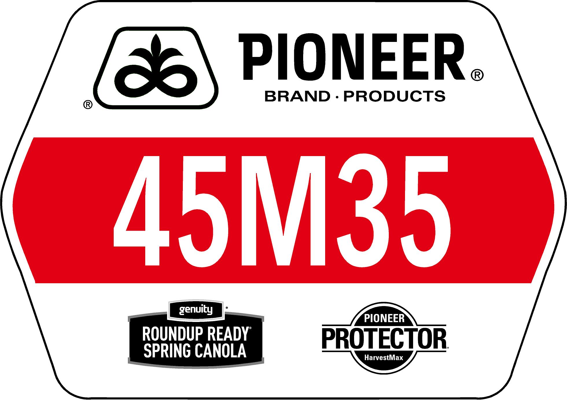 Seed - Pioneer - Canola - 45M35