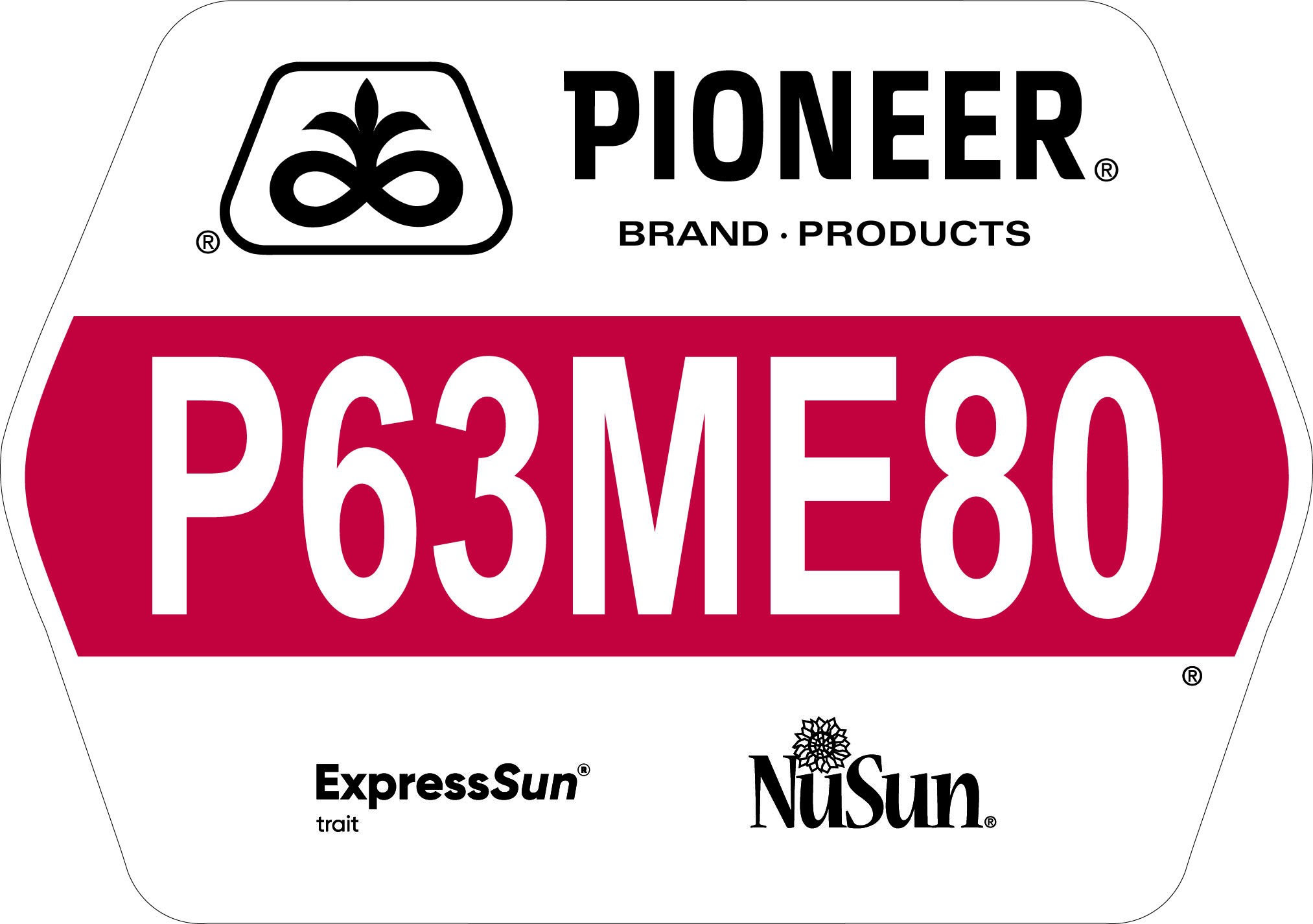Seed - Pioneer - Sunflowers - P63ME80