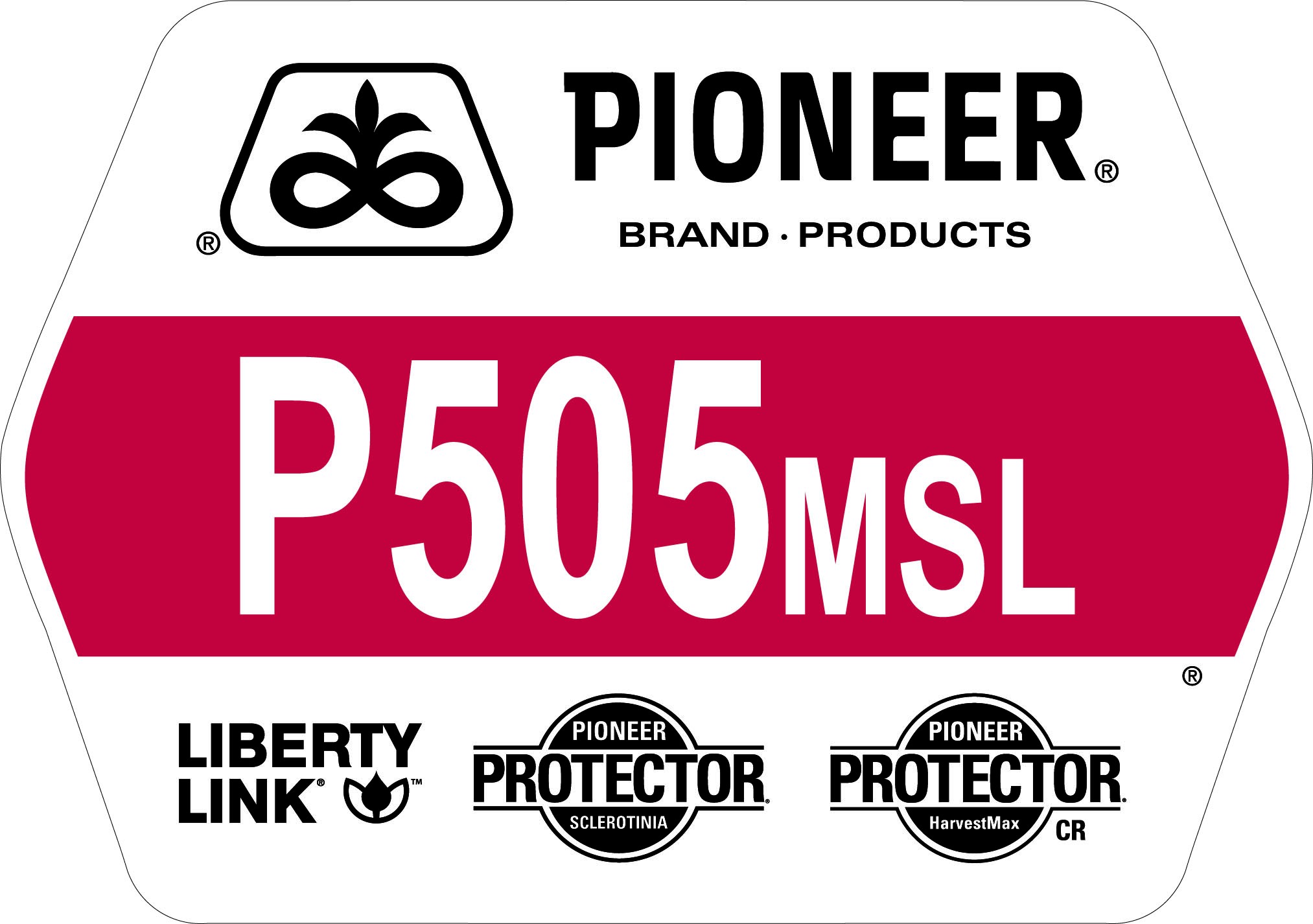 Seed - Pioneer - Canola - P505MSL