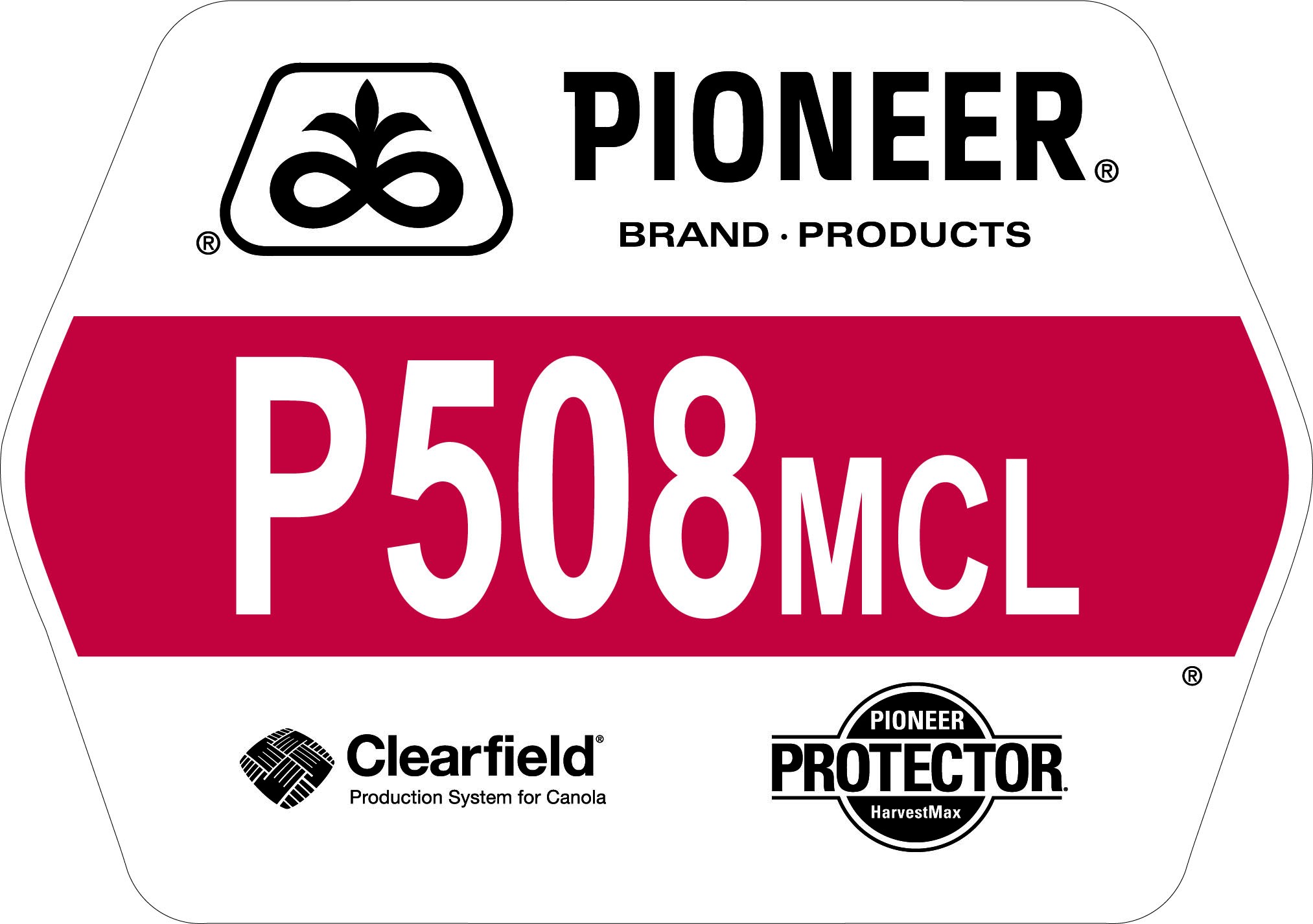 Seed - Pioneer - Canola - P508MCL