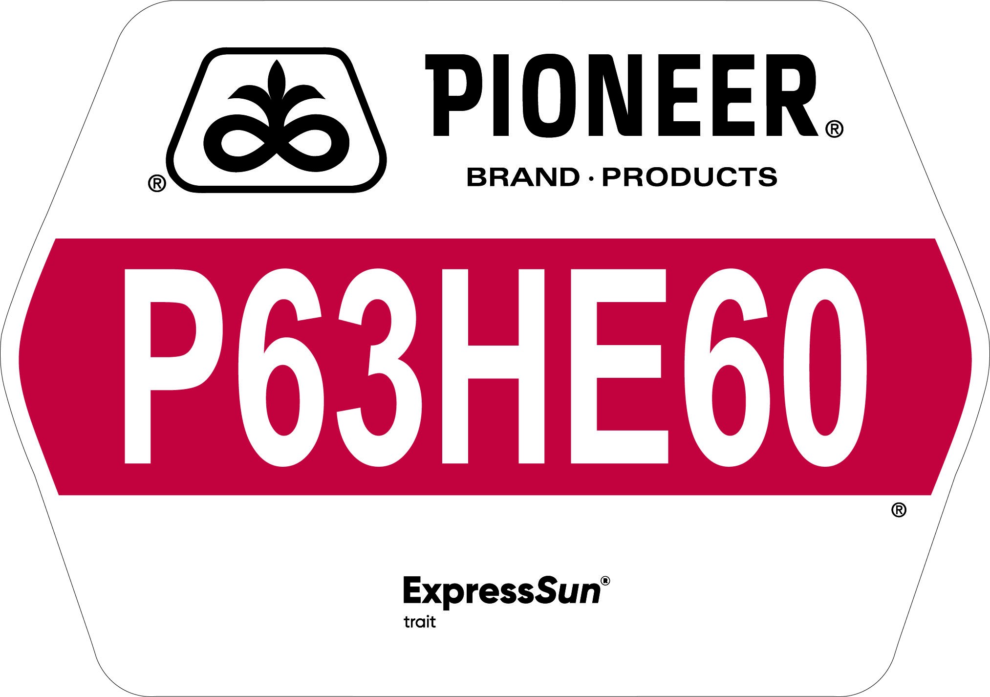 Seed - Pioneer - Sunflowers - P63HE60