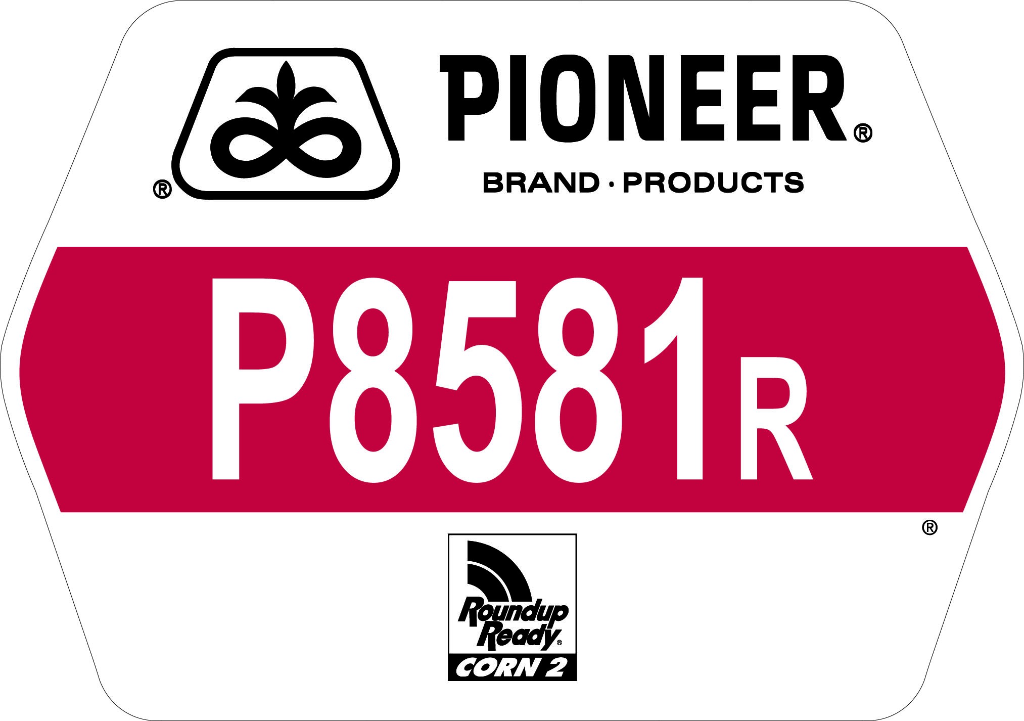 P8581R CORN